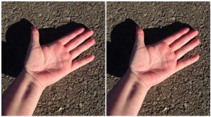 29436249_8192961_G_46856_ver1.0